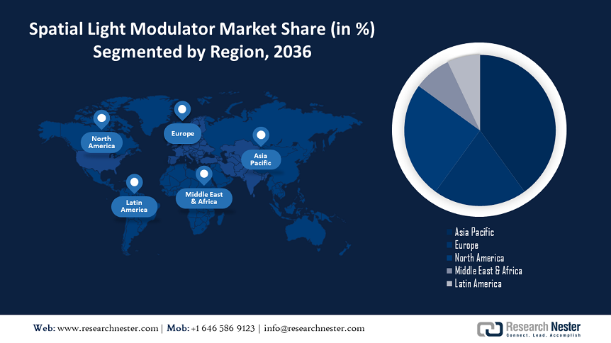 Spatial Light Modulator Market Share